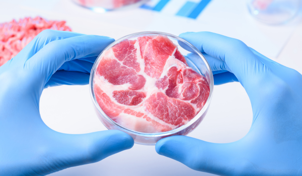 What Is Lab-Grown Meat?